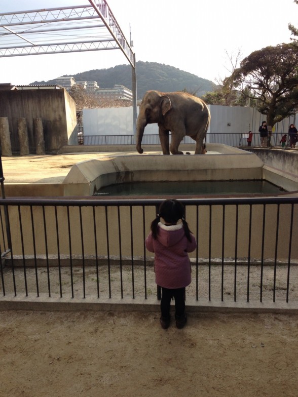 【平安神宮近くの京都市動物園】歴史の長い京都市唯一の動物園