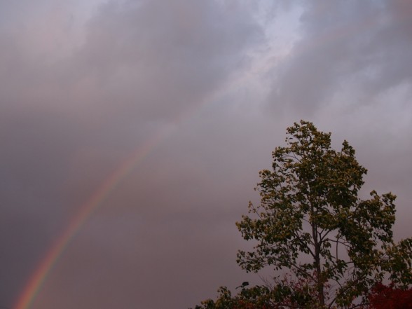鍬山神社　上空の虹
