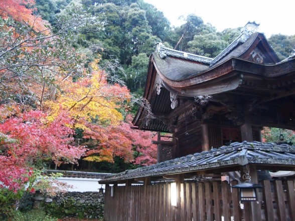 秋の鍬山神社
