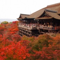 京都の観光スポット写真・画像ギャラリー（季節・地名別）